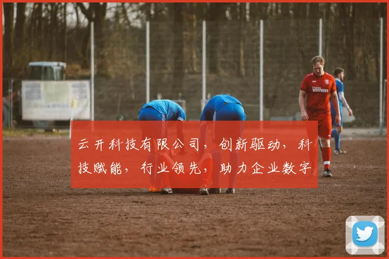 云开科技有限公司，创新驱动，科技赋能，行业领先，助力企业数字化转型，成就未来