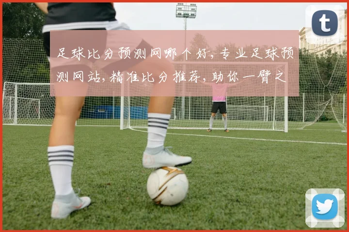 足球比分预测网哪个好,专业足球预测网站,精准比分推荐,助你一臂之力,锁定精彩赛事。