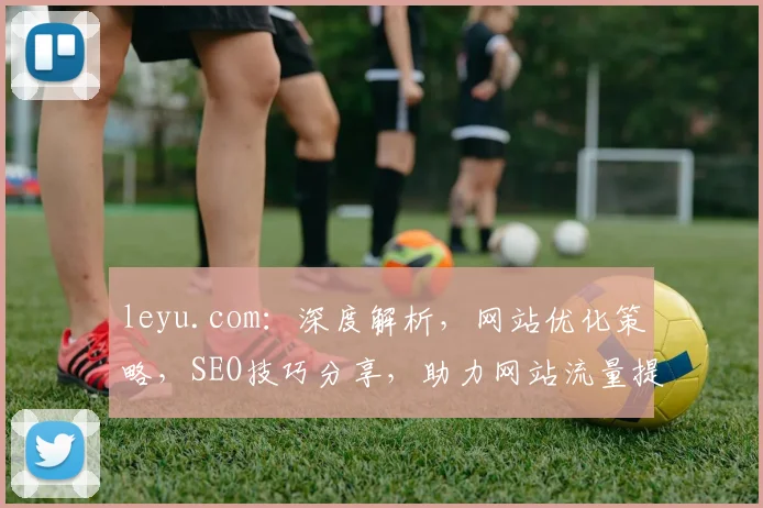 leyu.com：深度解析，网站优化策略，SEO技巧分享，助力网站流量提升