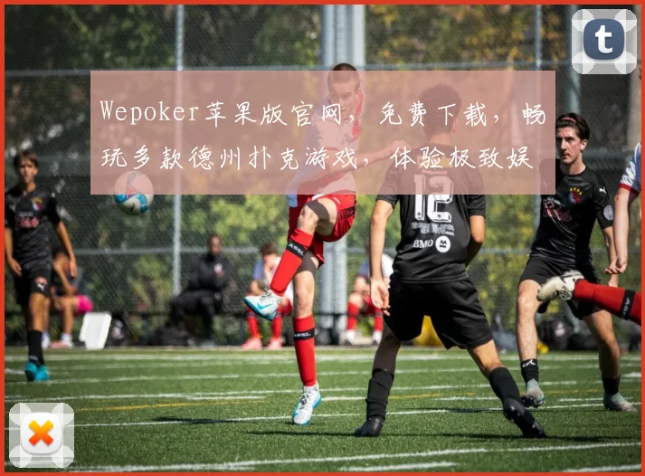 Wepoker苹果版官网，免费下载，畅玩多款德州扑克游戏，体验极致娱乐，三重惊喜，等你来拿