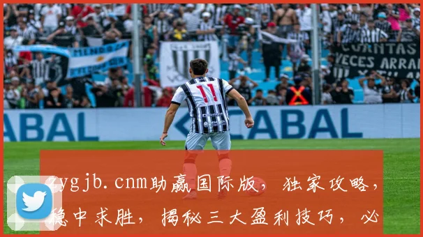 zygjb.cnm助赢国际版，独家攻略，稳中求胜，揭秘三大盈利技巧，必看