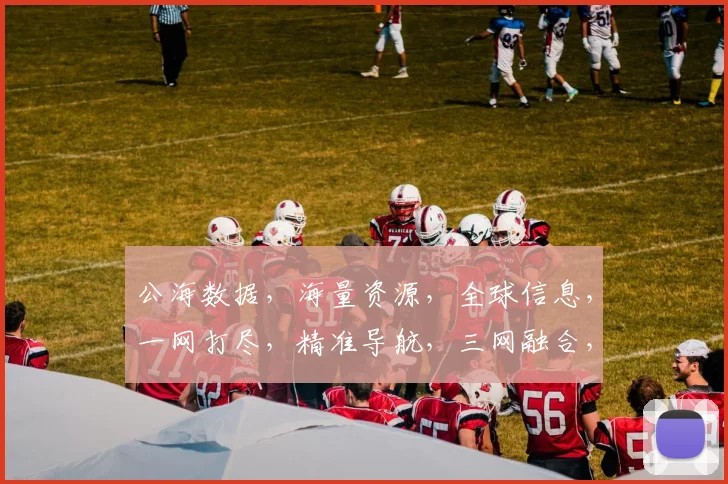 公海数据，海量资源，全球信息，一网打尽，精准导航，三网融合，一触即达，智能搜索。