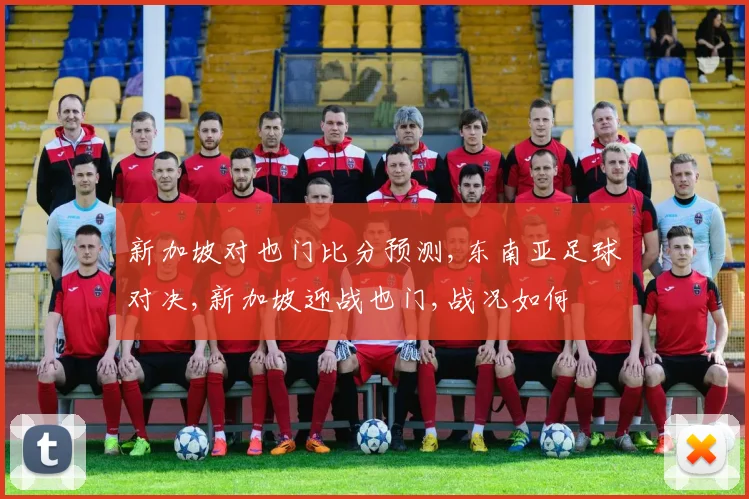 新加坡对也门比分预测,东南亚足球对决,新加坡迎战也门,战况如何
